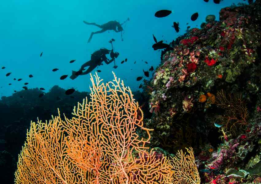 best things to do in borneo
