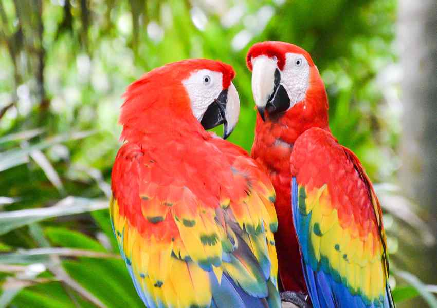 best time to visit xcaret