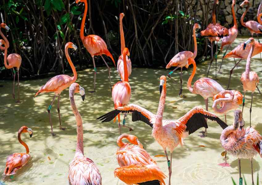 best time to visit xcaret