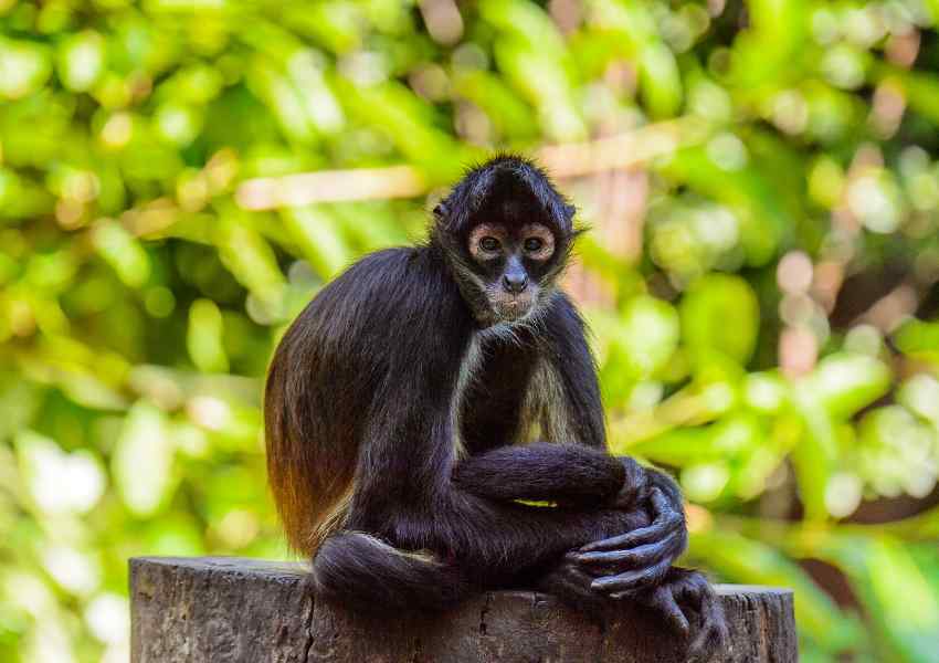 best time to visit xcaret