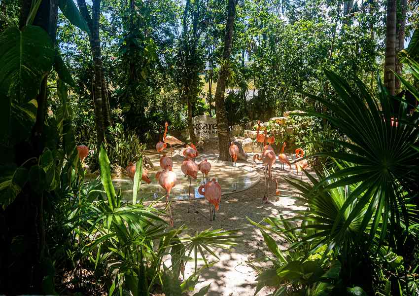 best time to visit xcaret