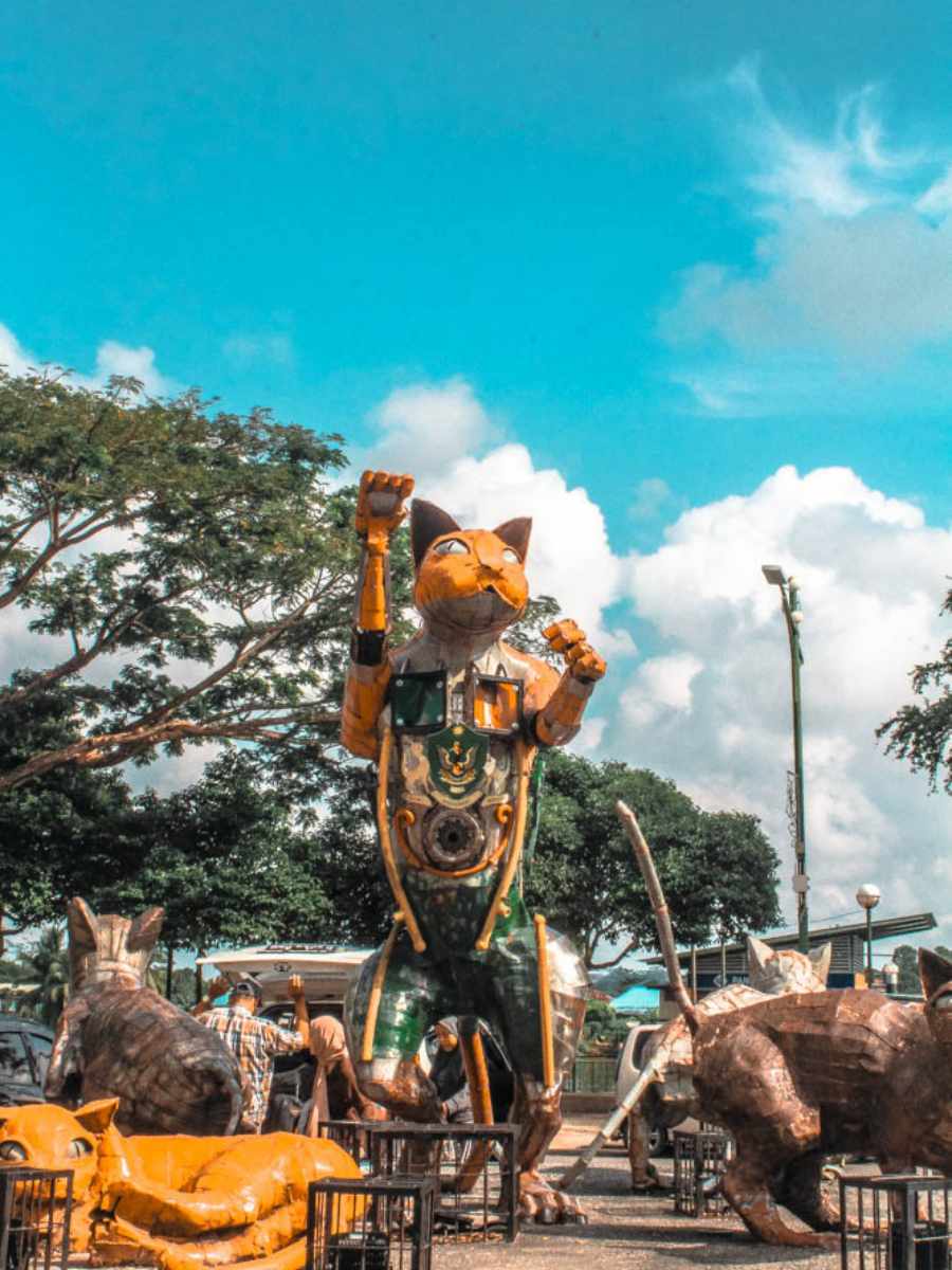 things to do in borneo