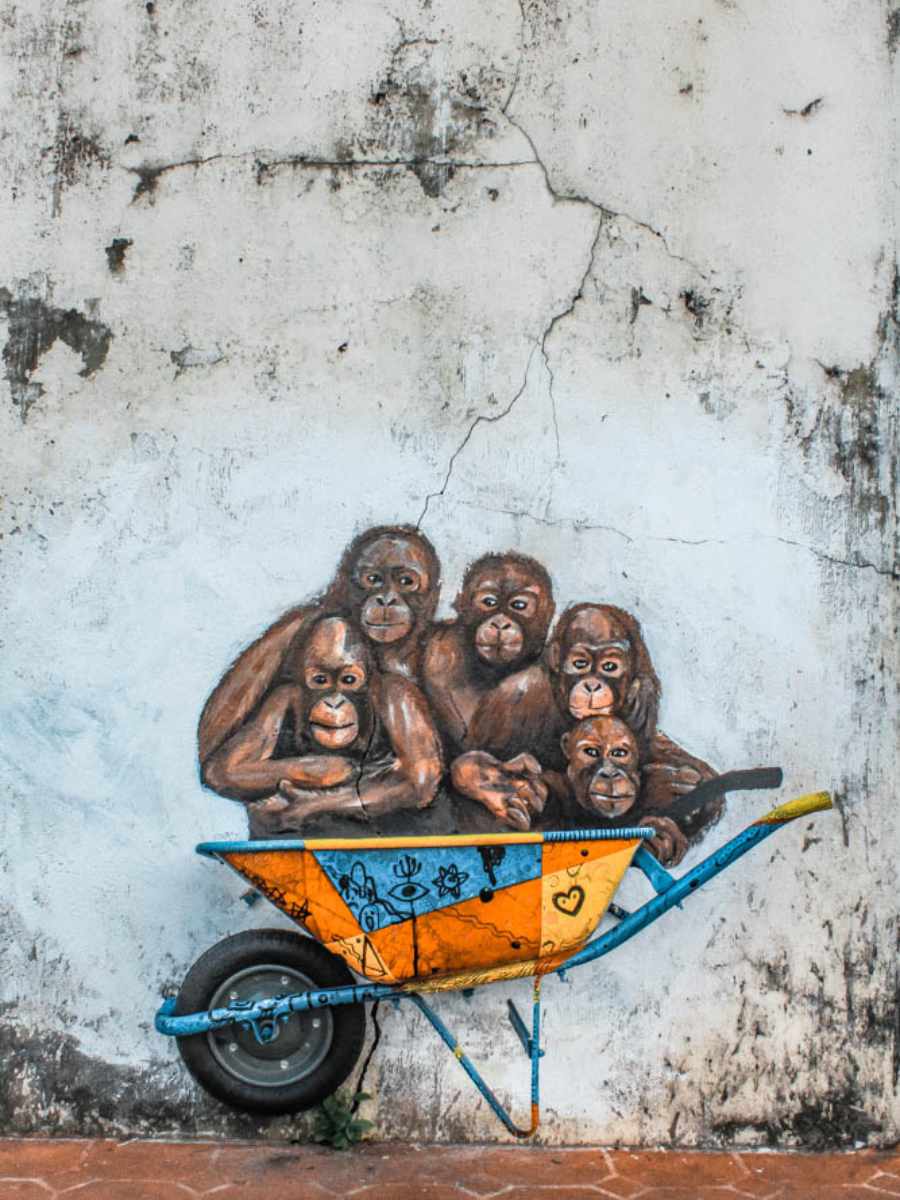 things to do in borneo