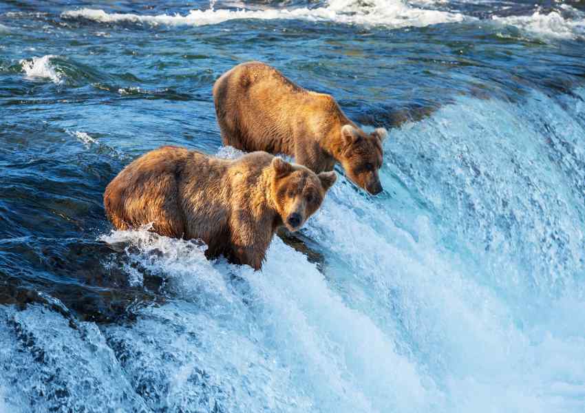5 Myths About Traveling Alaska (And Why They’re Wrong)