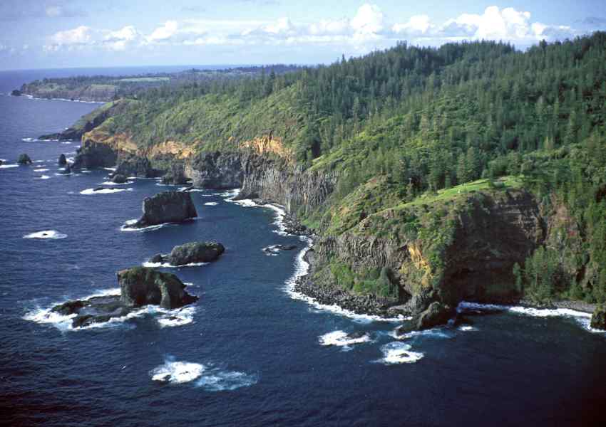 Vancouver Island Road Trip: How to Make the Most of It