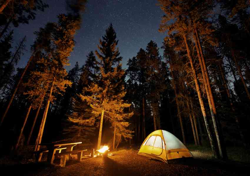 Sustainable Travel Tips for Accessible Adventures