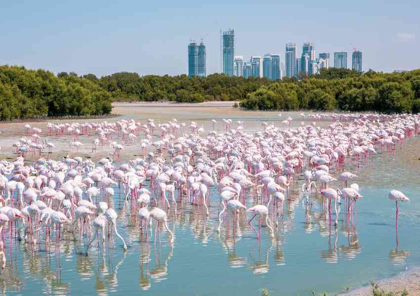 Exploring Dubai’s Hidden Gems by Car 
