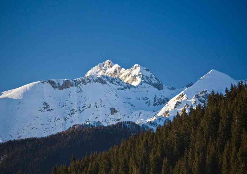 Facts About Slovenia