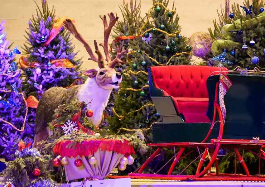 8 Michigan Events to Check Out In December 