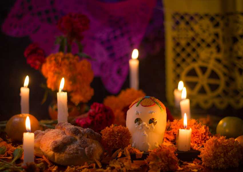 day of the dead for pets