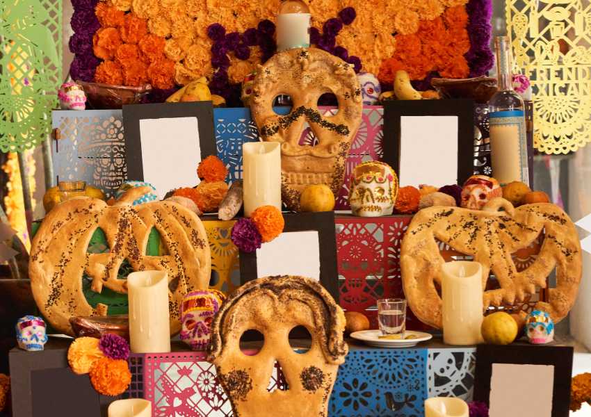 day of the dead for dogs