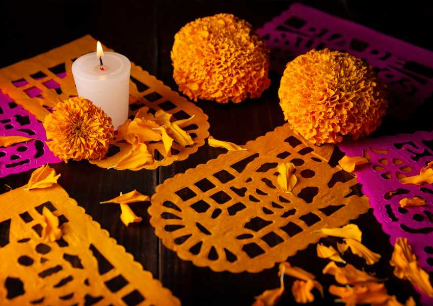 day of the dead for pets