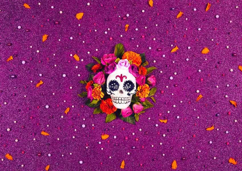 day of the dead for dogs